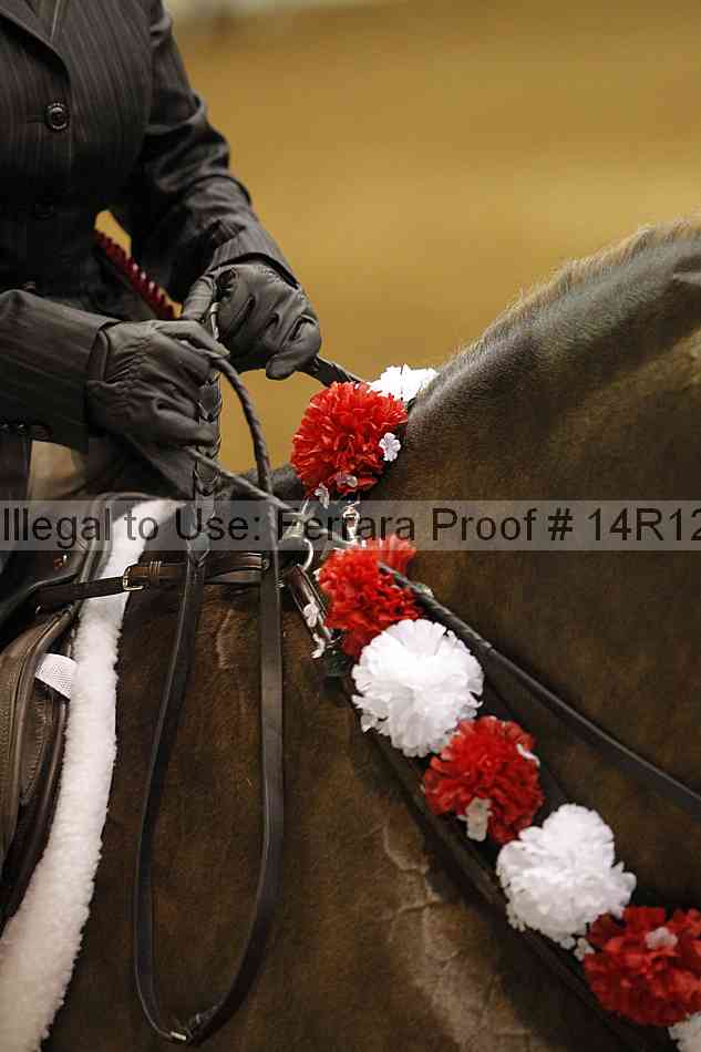 Proof 14r12_1282
