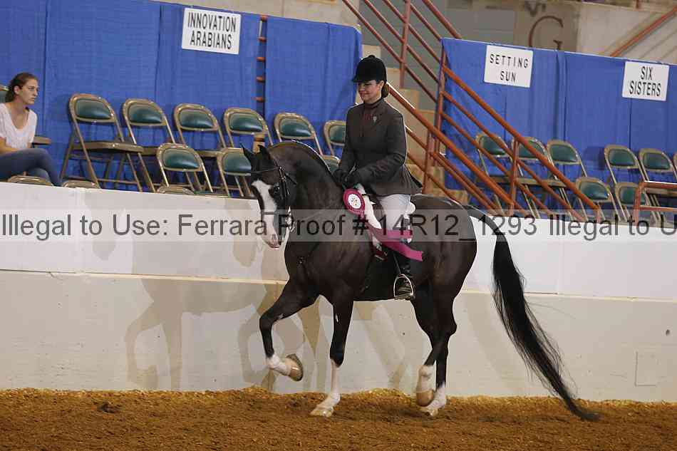 Proof 14r12_1293