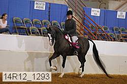 14r12_1293 proof