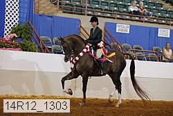 14r12_1303 proof