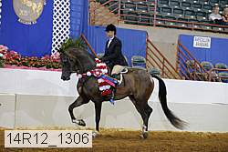 14r12_1306 proof