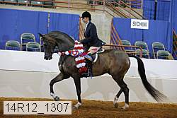 14r12_1307 proof
