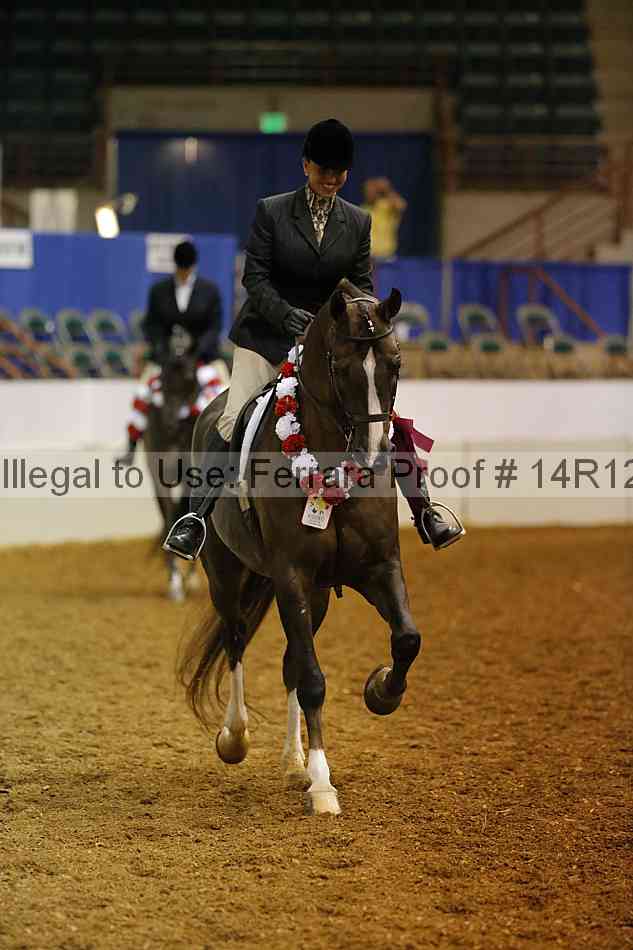 Proof 14r12_1308