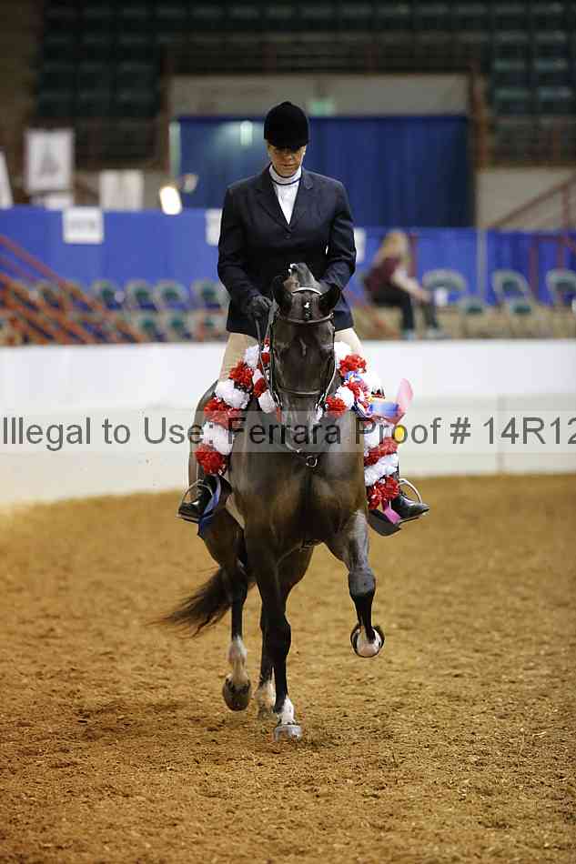 Proof 14r12_1309