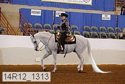 14r12_1313 proof