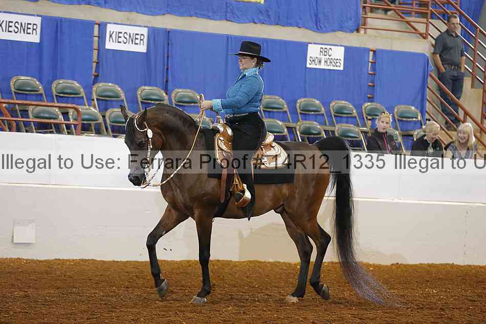 Proof 14r12_1335
