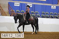 14r12_1341 proof