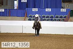 14r12_1356 proof