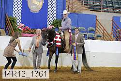 14r12_1361 proof