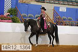 14r12_1364 proof