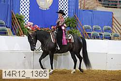 14r12_1365 proof
