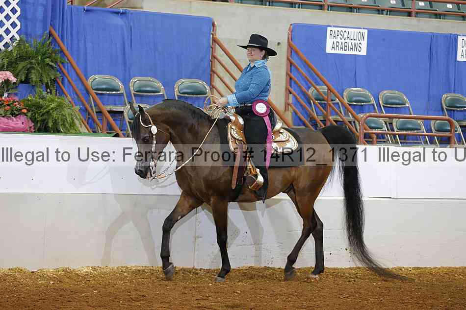 Proof 14r12_1371