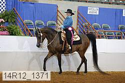 14r12_1371 proof