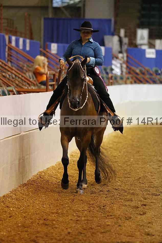 Proof 14r12_1372