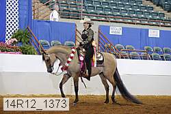 14r12_1373 proof