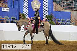 14r12_1374 proof