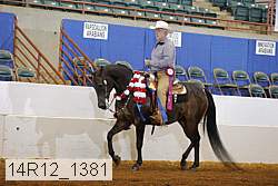 14r12_1381 proof