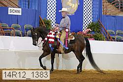14r12_1383 proof