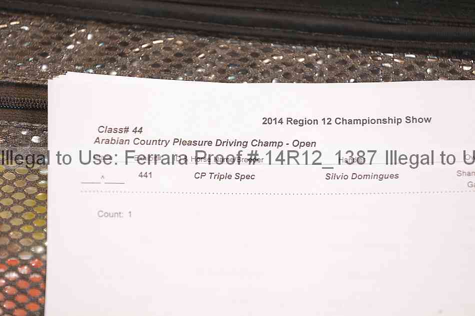 Proof 14r12_1387