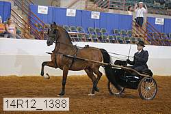 14r12_1388 proof