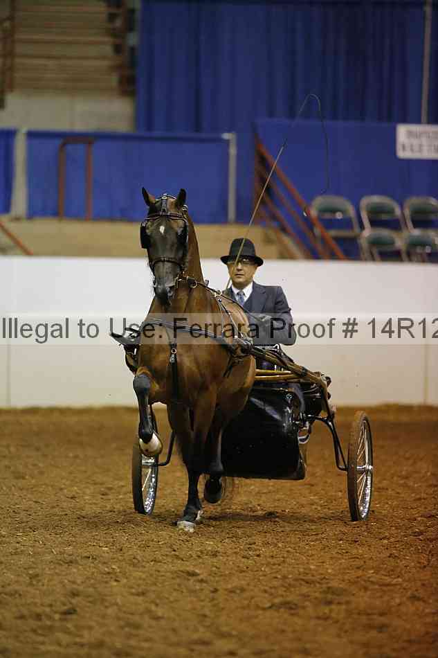 Proof 14r12_1390