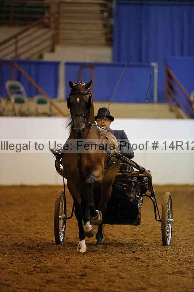 Proof 14r12_1391