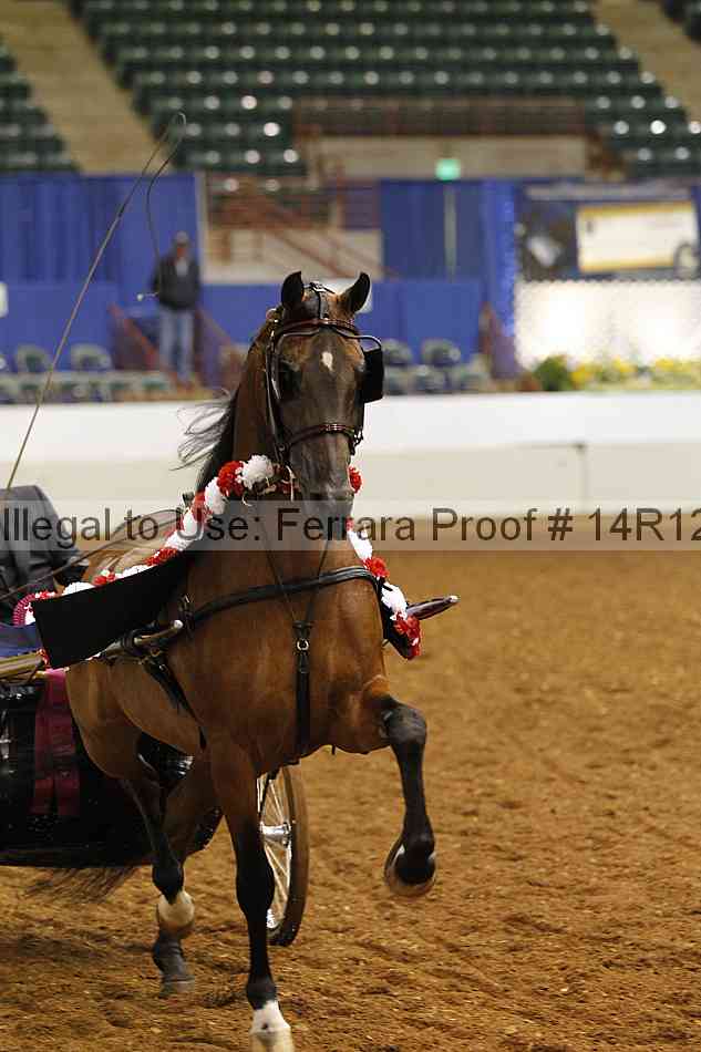 Proof 14r12_1392