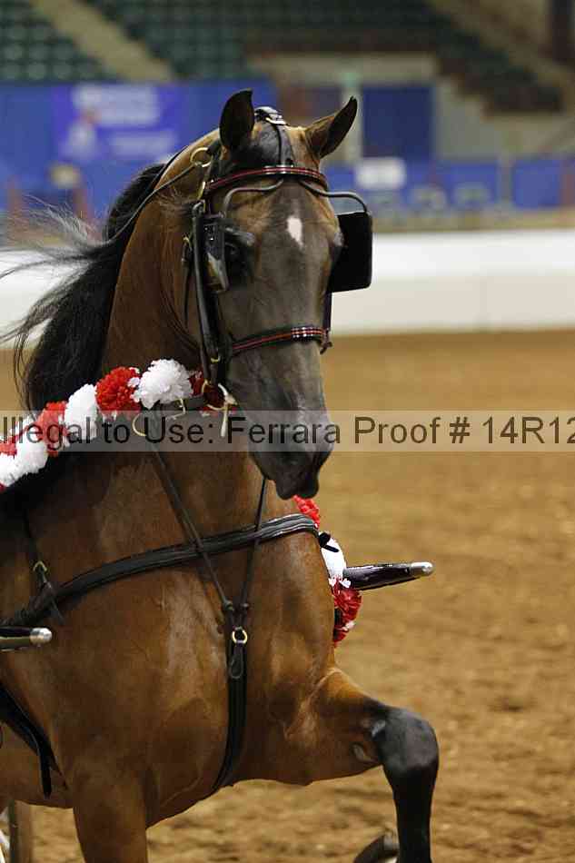 Proof 14r12_1393