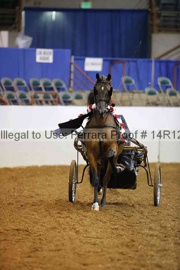 Proof 14r12_1397