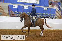 14r12_1401 proof
