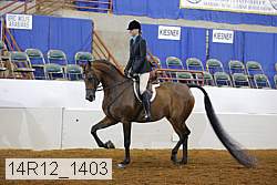 14r12_1403 proof