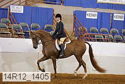 14r12_1405 proof