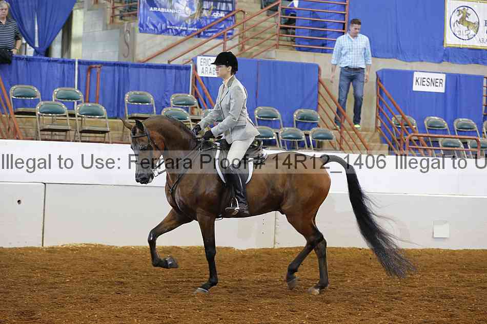 Proof 14r12_1406