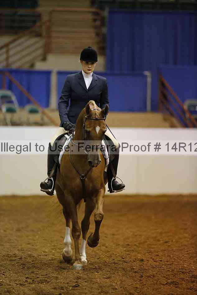 Proof 14r12_1407