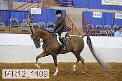 14r12_1409 proof