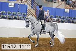 14r12_1412 proof