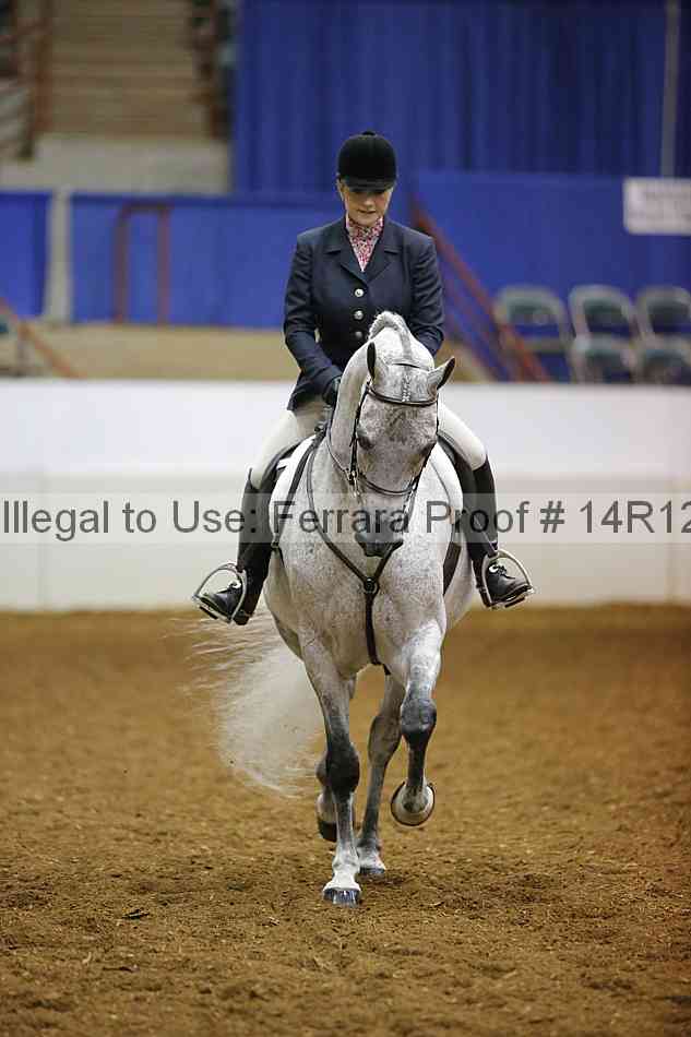Proof 14r12_1419
