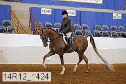 14r12_1424 proof