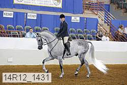 14r12_1431 proof