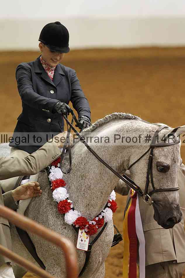 Proof 14r12_1439