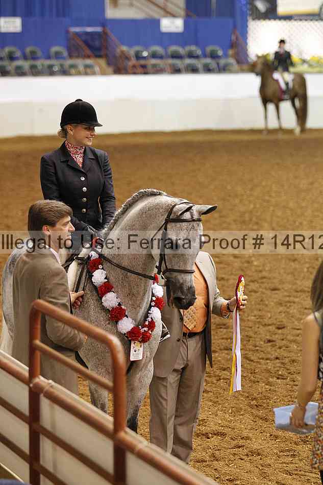 Proof 14r12_1441