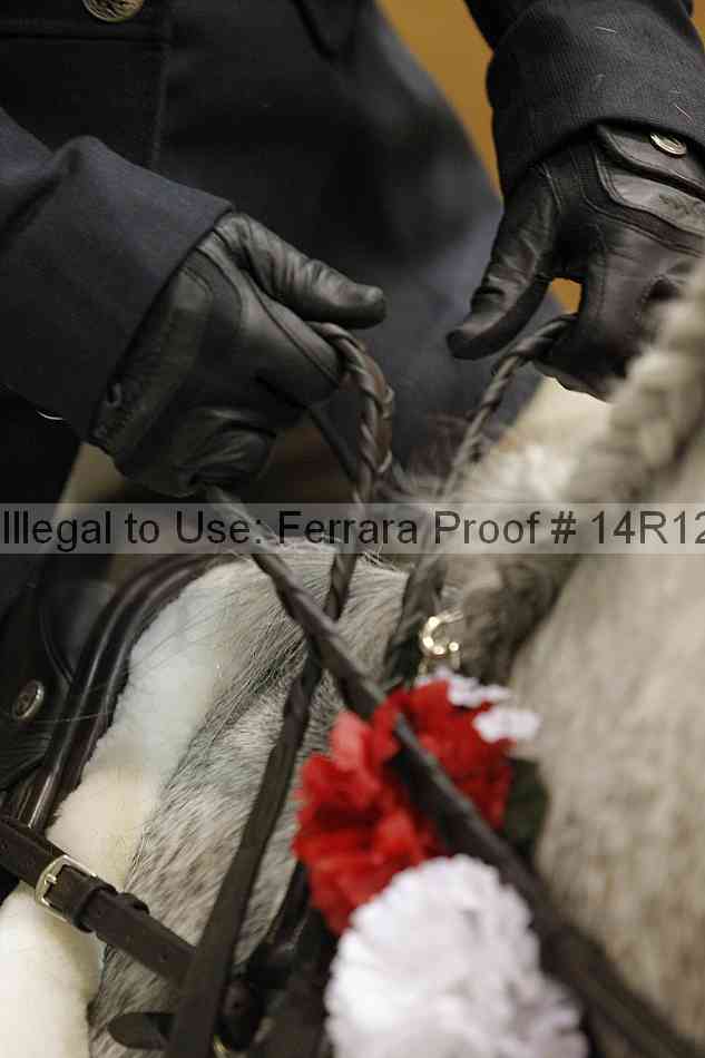 Proof 14r12_1446