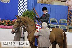 14r12_1454 proof