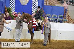 14r12_1461 proof