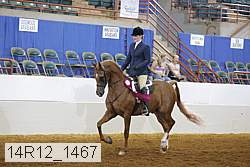 14r12_1467 proof