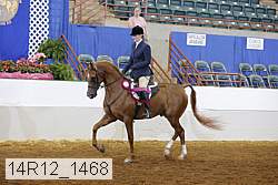 14r12_1468 proof