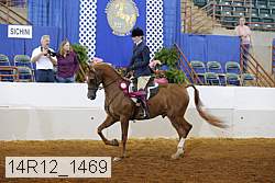 14r12_1469 proof