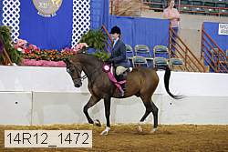 14r12_1472 proof