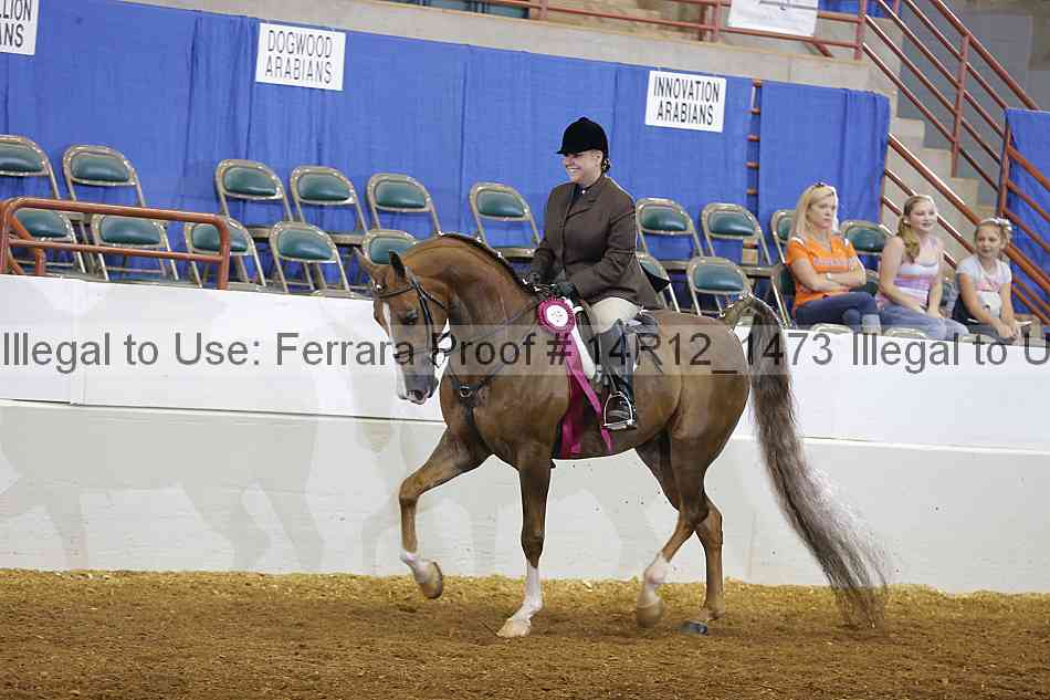 Proof 14r12_1473