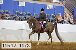 14r12_1473 proof